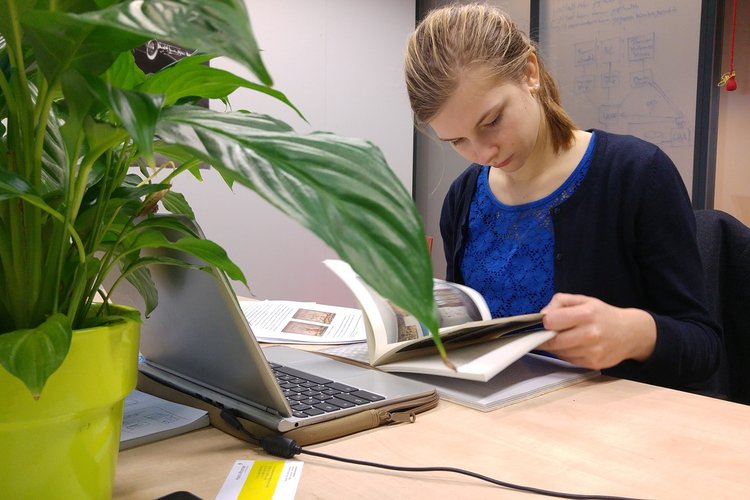 Henkilö opiskelee pöydän ääressä, jolla on tietokone ja viherkasvi.