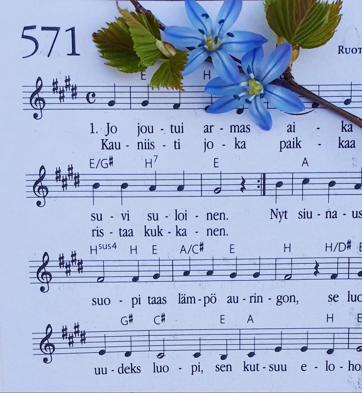 Sanajumalanpalvelus Suvivirren ensimmäinen säkeistö ja koivun hiirenkorvia ja sinililjoja