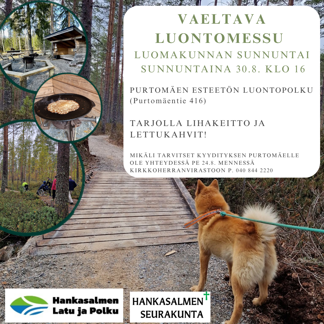 Vaeltava luontomessu Purtomäen esteettömällä luontopolulla